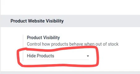 Hide Out of Stock Products in Website | Auto Hide Website Product  (16.0)
