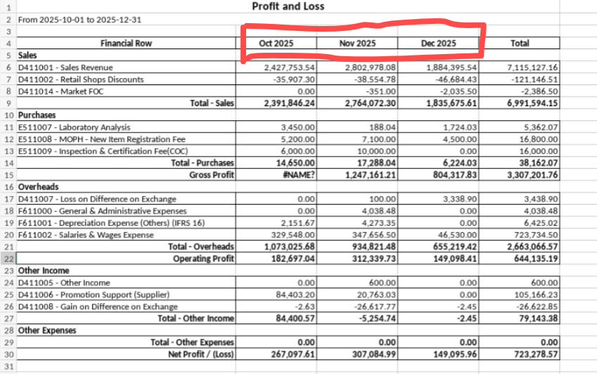 Trail Balance Monthly XLSX Report 